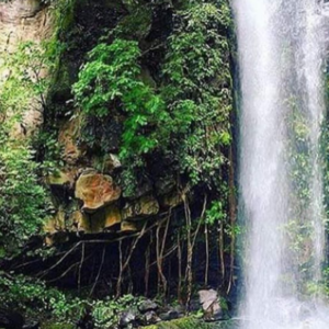 RINCON DE LA VIEJA VOLCANO & NATIONAL PARK PREMIUM