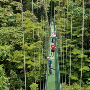 CLOUD FOREST NATURE AND ADVENTURE EXPERIENCE